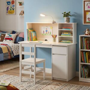 Blueberry Buddy Study Station