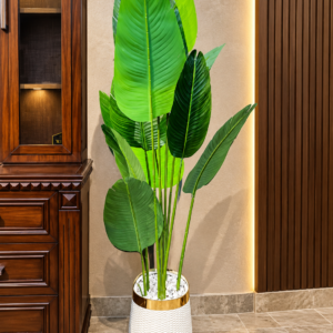 Tropical Haven Floor Plant