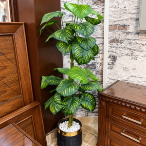 Luxe Variegated Greenery
